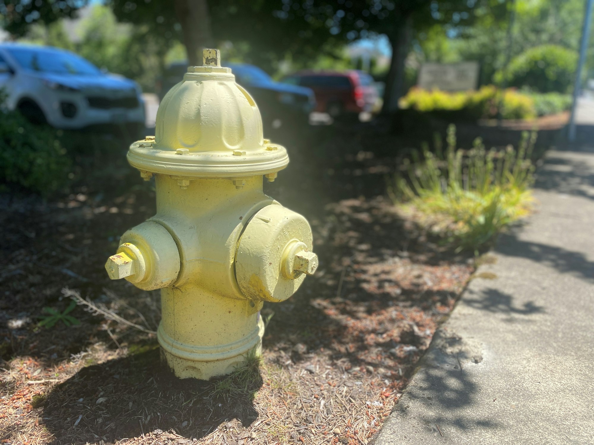 Fire Hydrant Replacement Program Oak Lodge Water Services fire-hydrant-replacement-program-oak-lodge-water-services